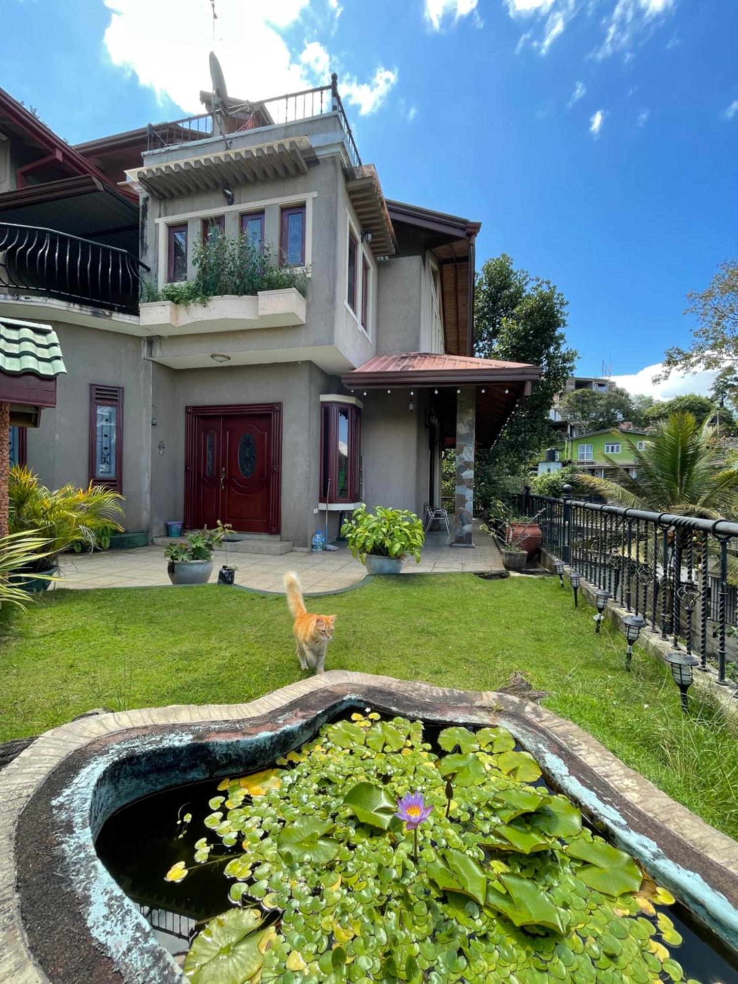 中国蒲公英民宿dandelion Guest House Villa With Mount View Канді Екстер'єр фото